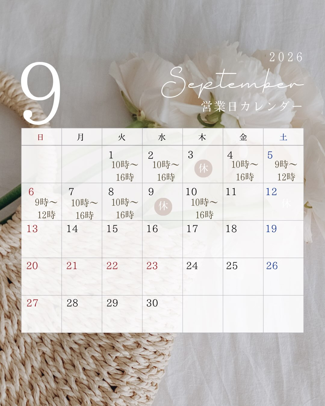 8月20日〜9月10日までの営業日のご案内です🕊️